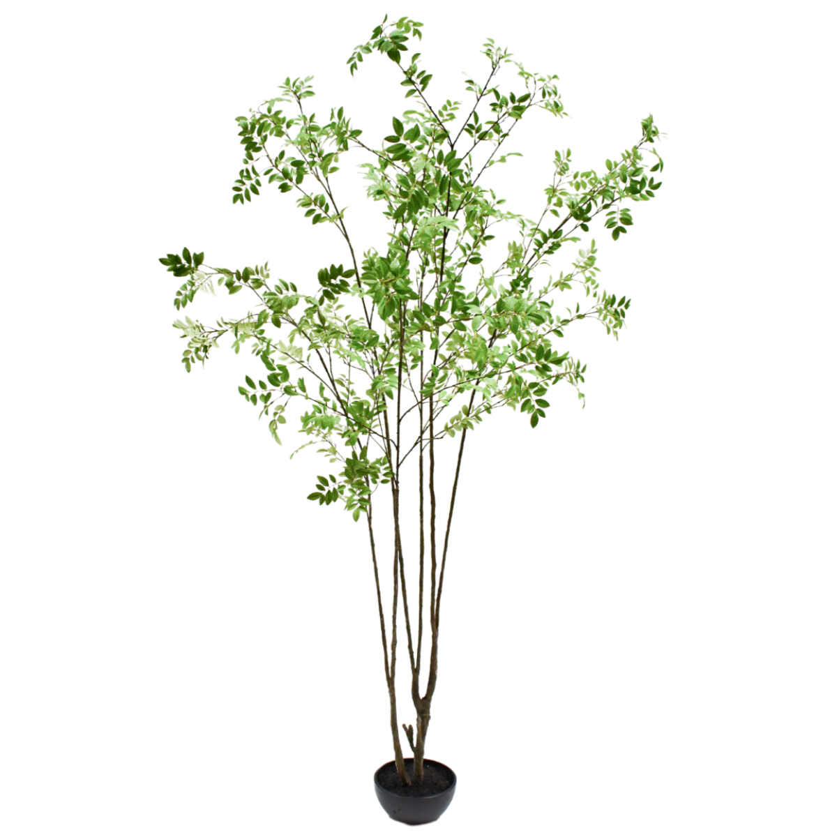 Silk-ka Zijden plant - Groene Boom 250cm