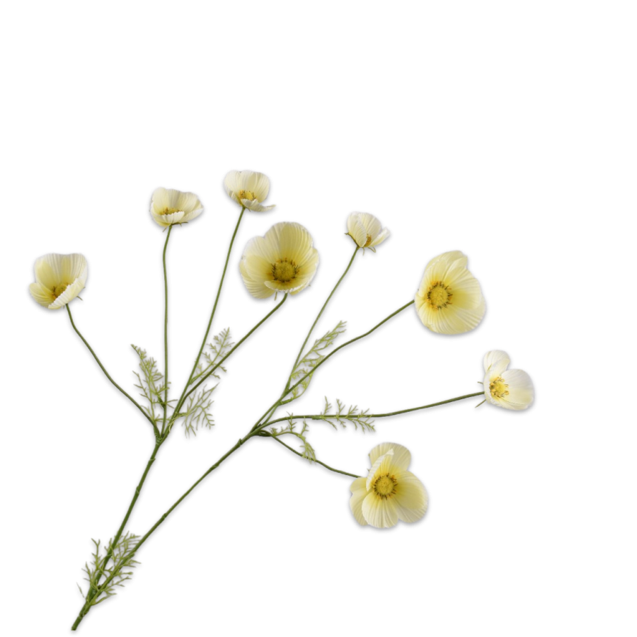 COSMOS TAK GEEL