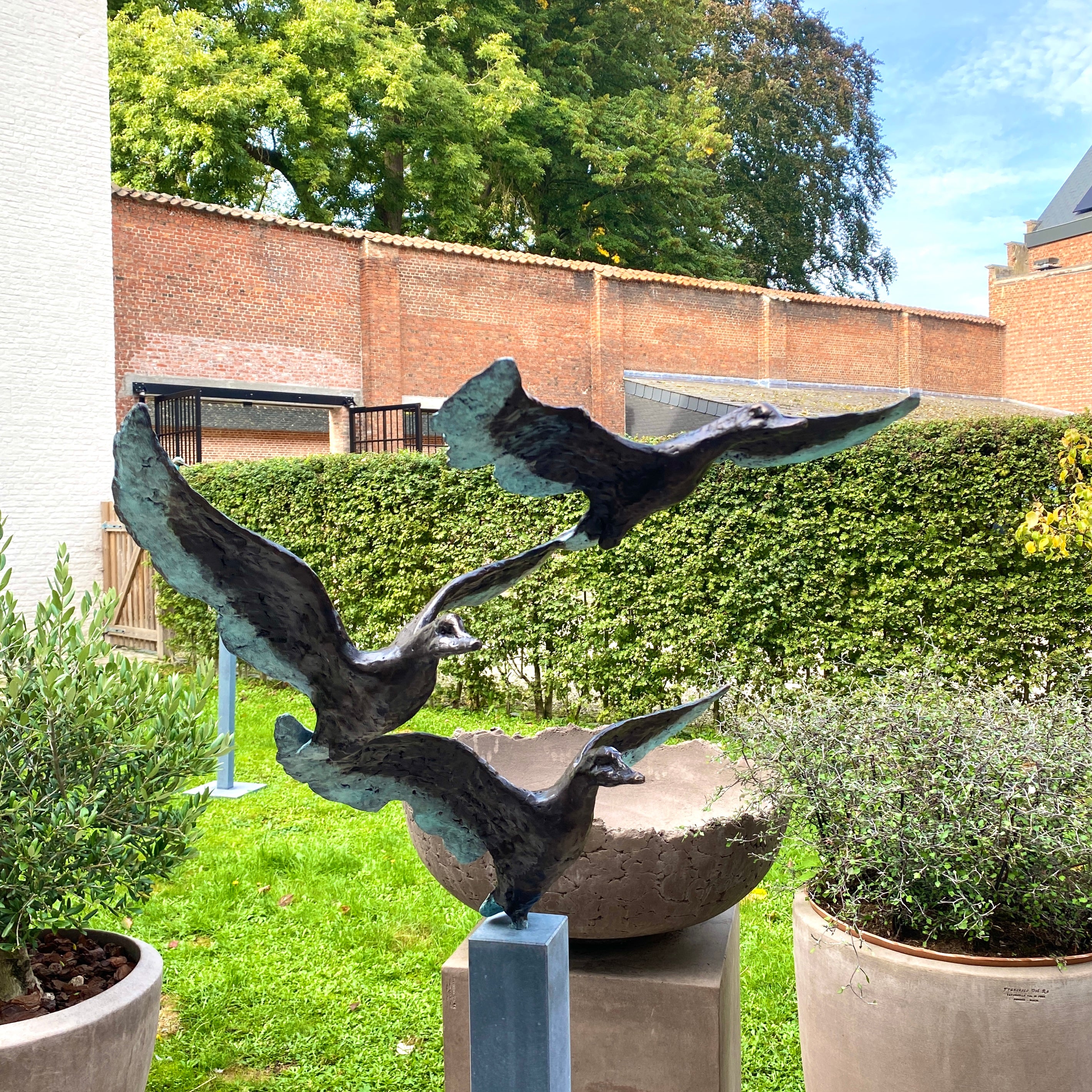Jonneke Kodde - Naar de toekomst, drie vogels