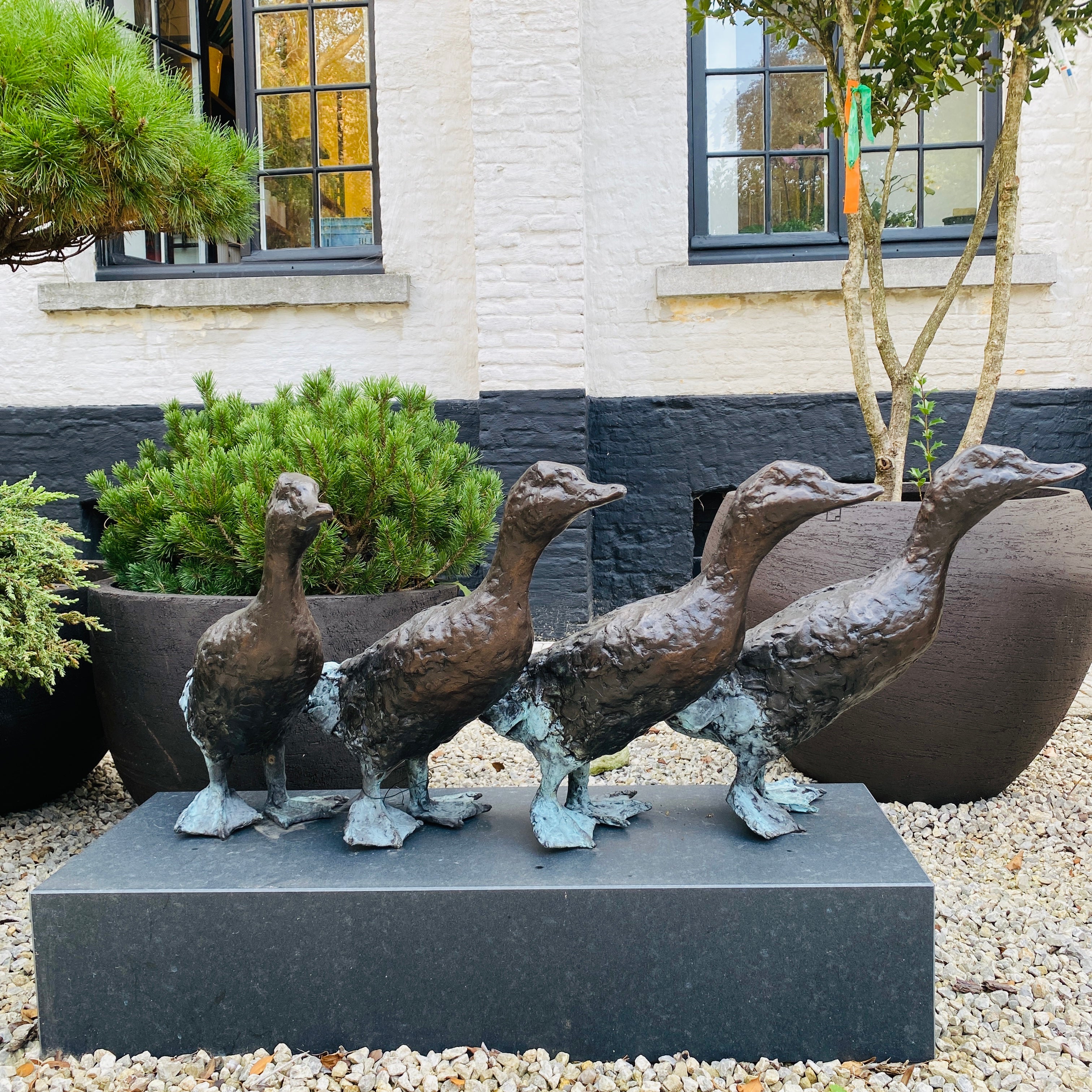 Jonneke Kodde - Quatre d'affilée, canards coureurs