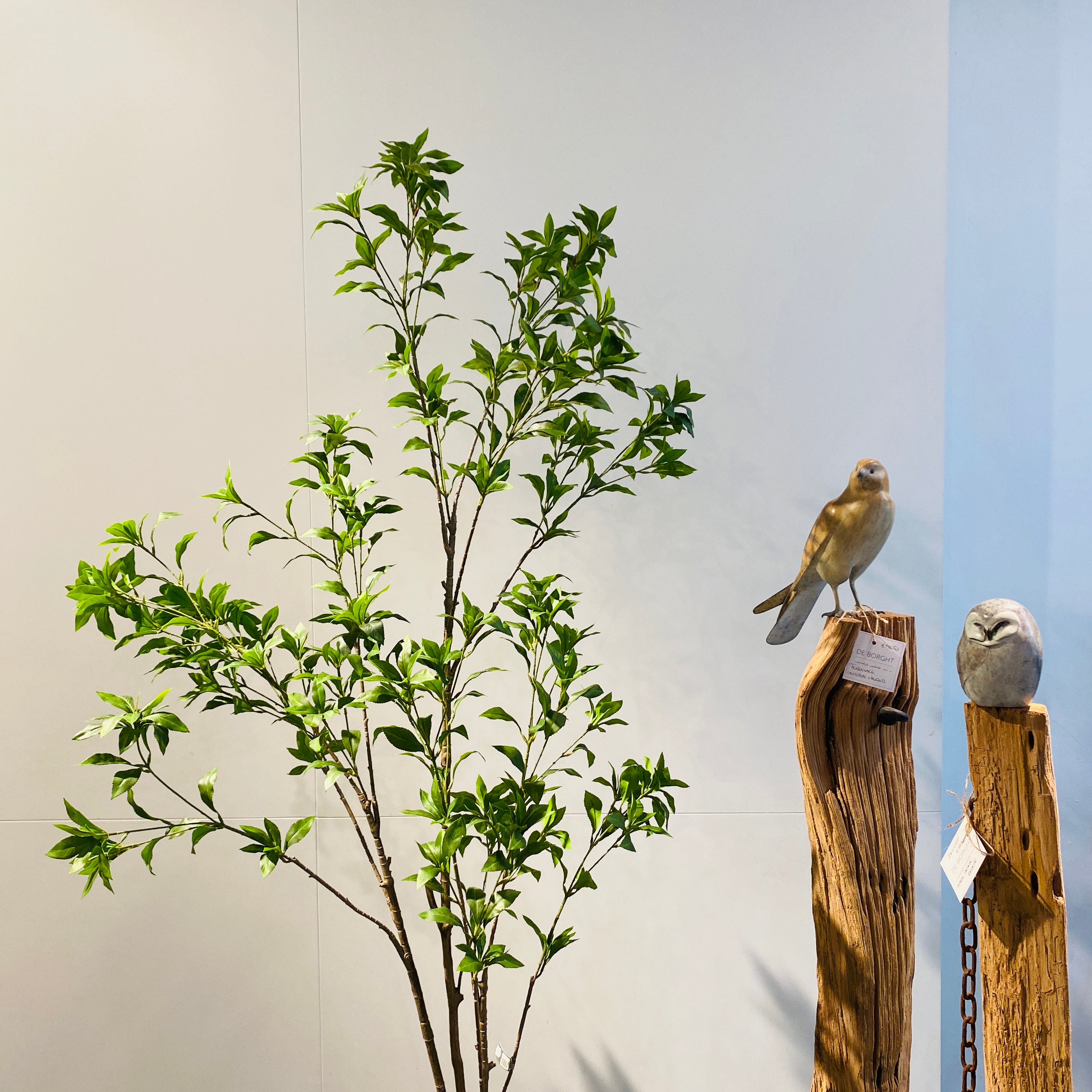 Silk-ka Zijden plant - Fijne Boom Groen