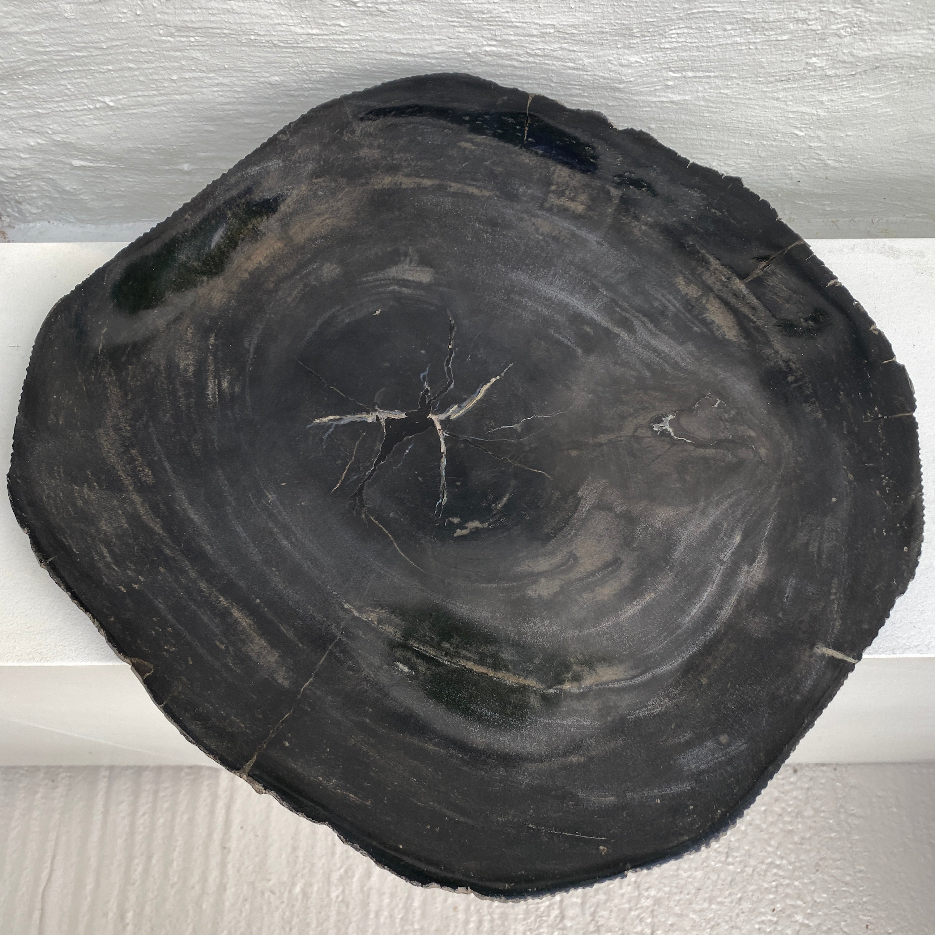 Entrepôt Breit coupelle en bois pétrifié