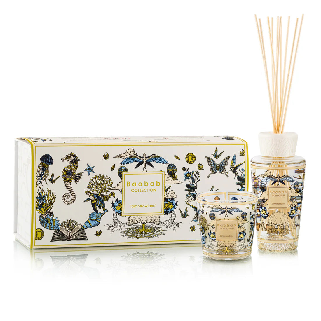 Coffret cadeau Mon Premier Baobab - Tomorrowland 2026