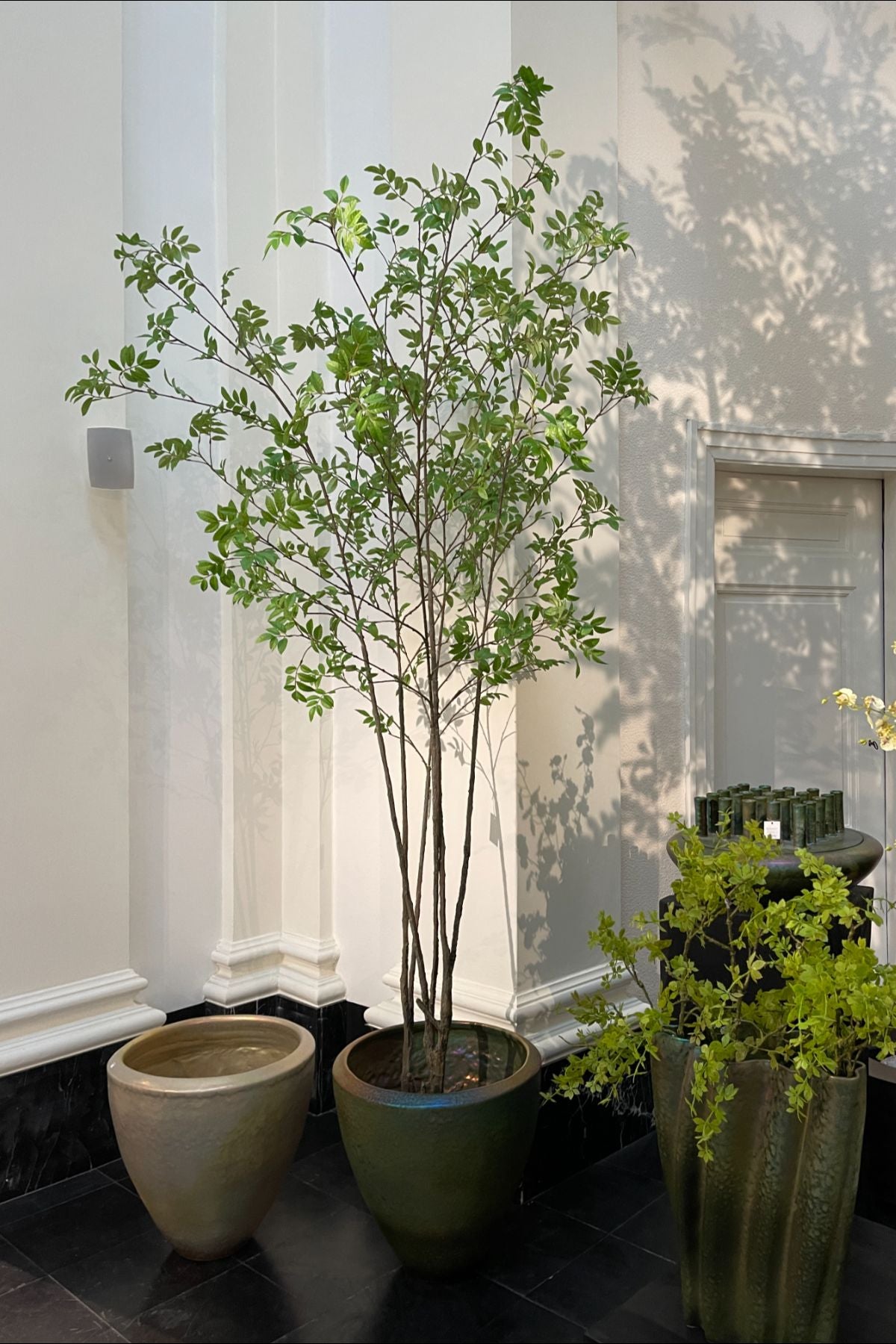 Silk-ka Zijden plant - Groene Boom 250cm