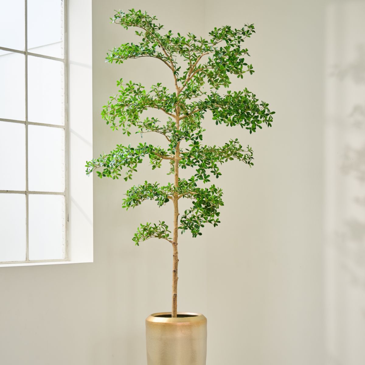Silk-ka Zijden plant - Vertakte Boom Groen
