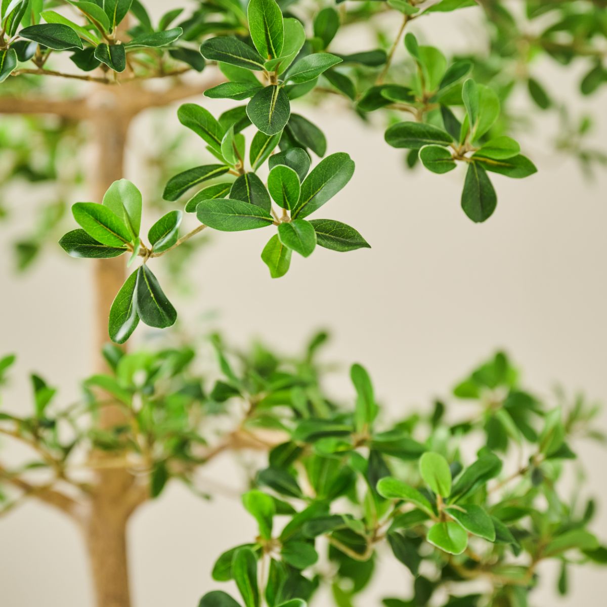 Silk-ka Zijden plant - Vertakte Boom Groen