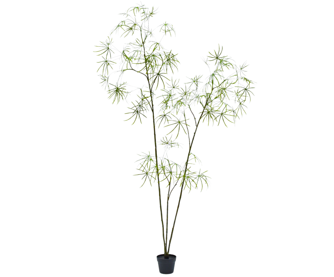Silk-ka Plante artificielle - Schefflera 223cm