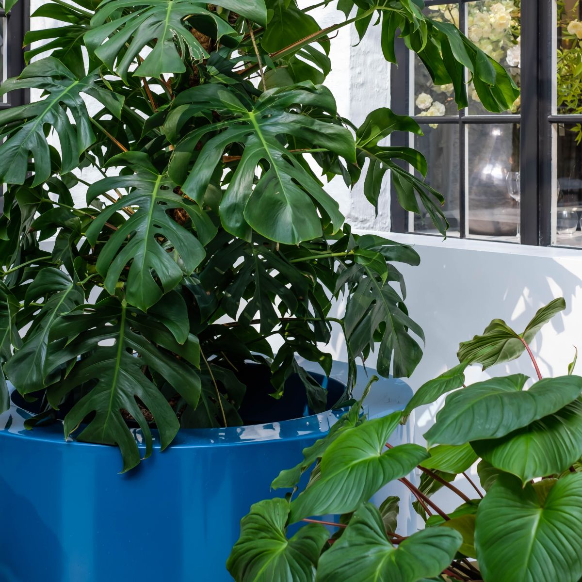 Polyester Round Ral Planters