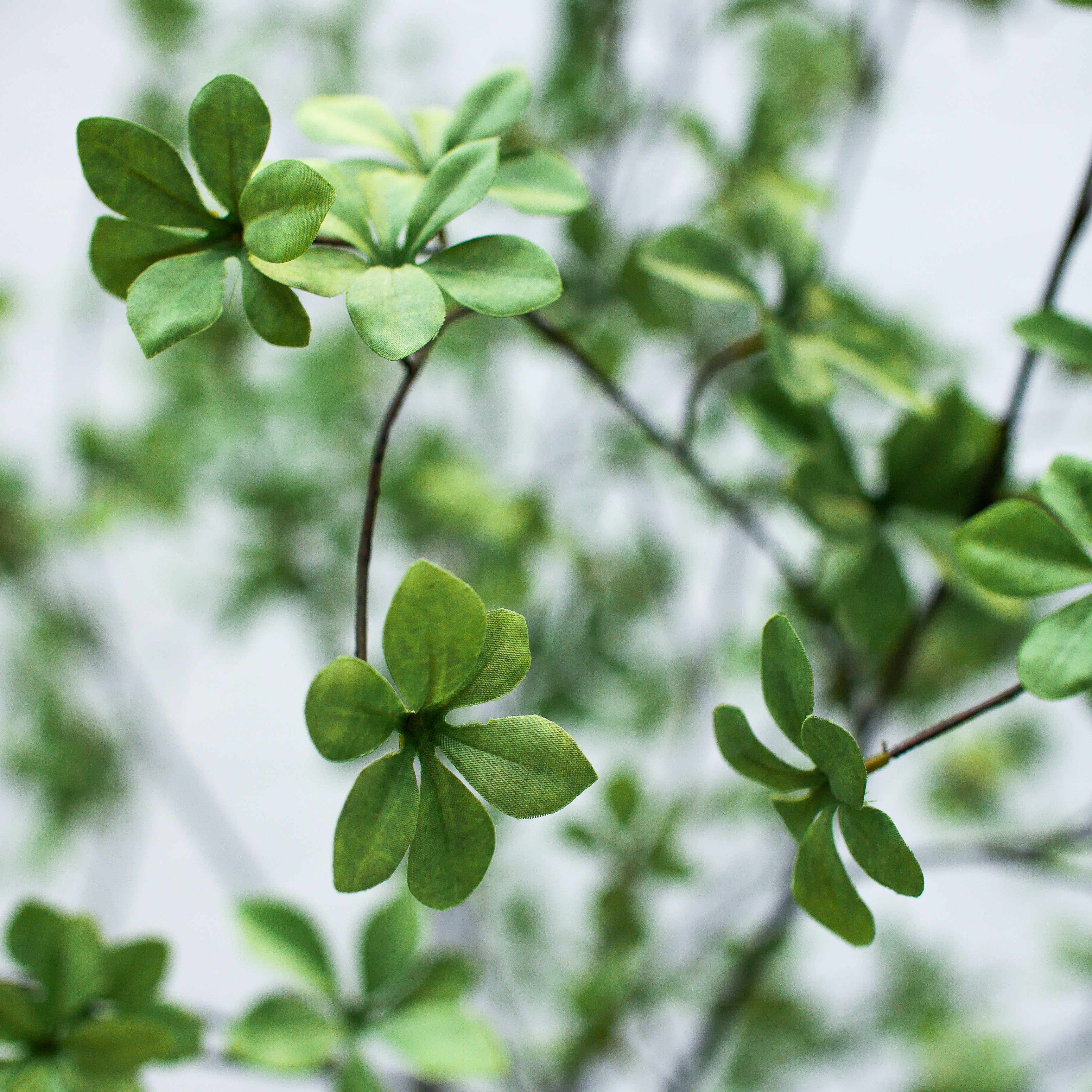 Silk-ka Plante artificielle Acer Vert