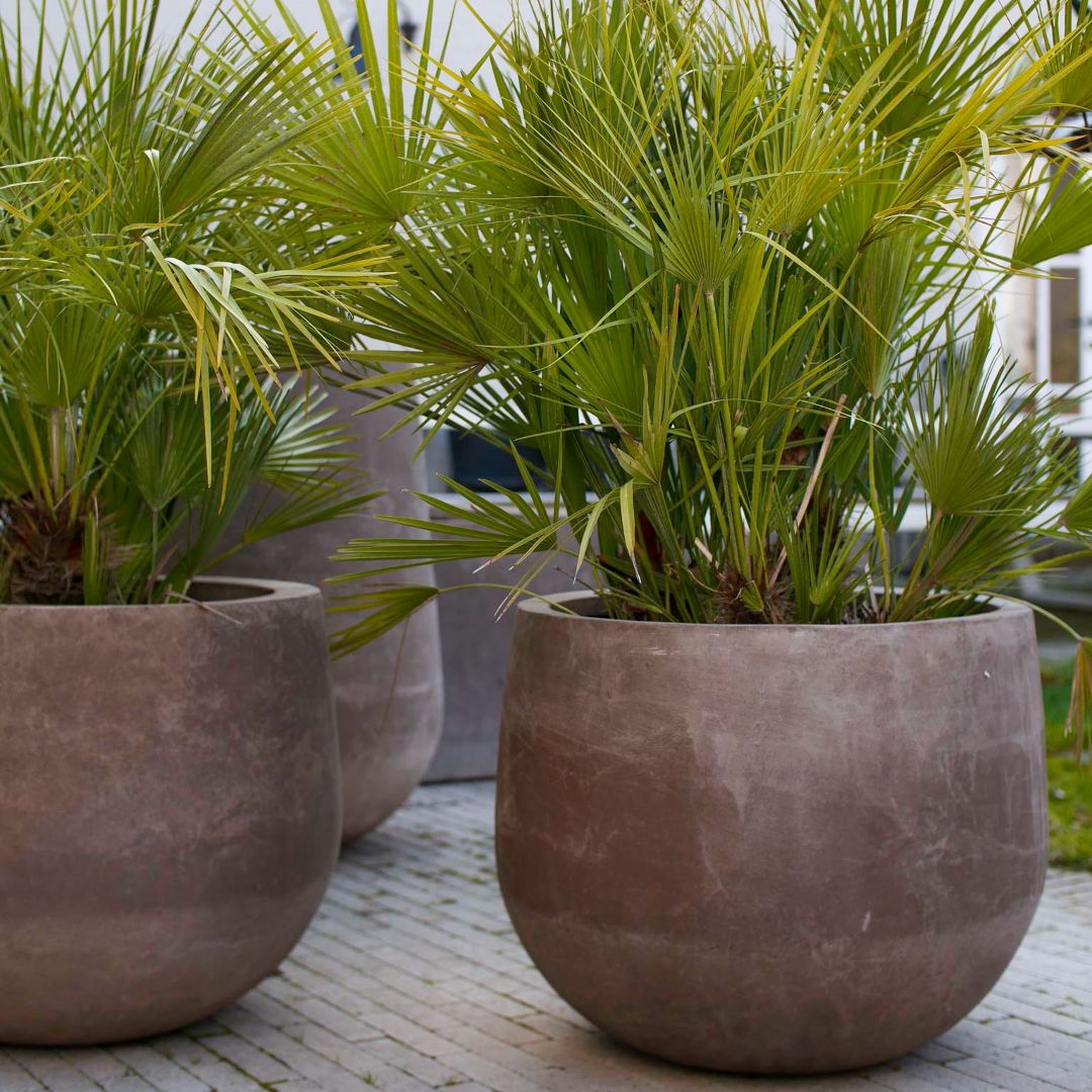 Terracotta d'Arte pot Mortaio