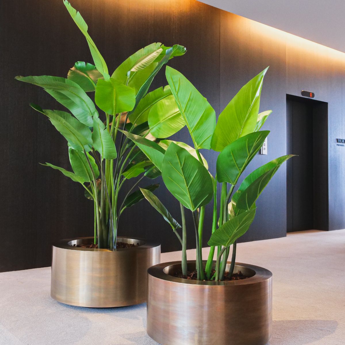 Brass Round Weathered Planters