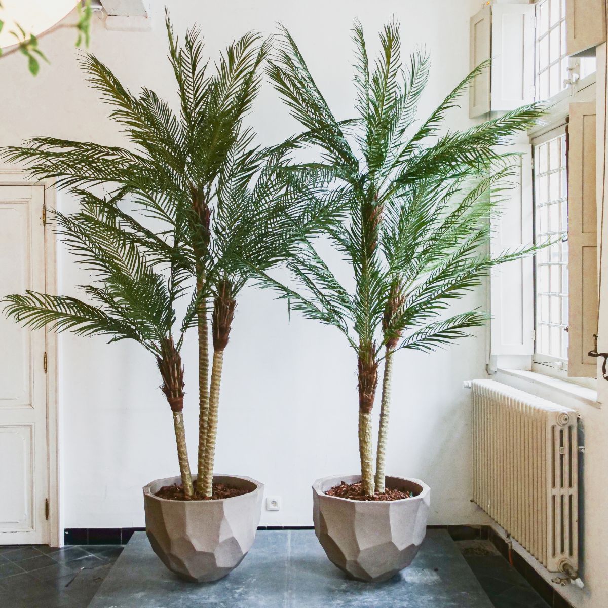 Silk-ka Zijden plant - Palm 183cm
