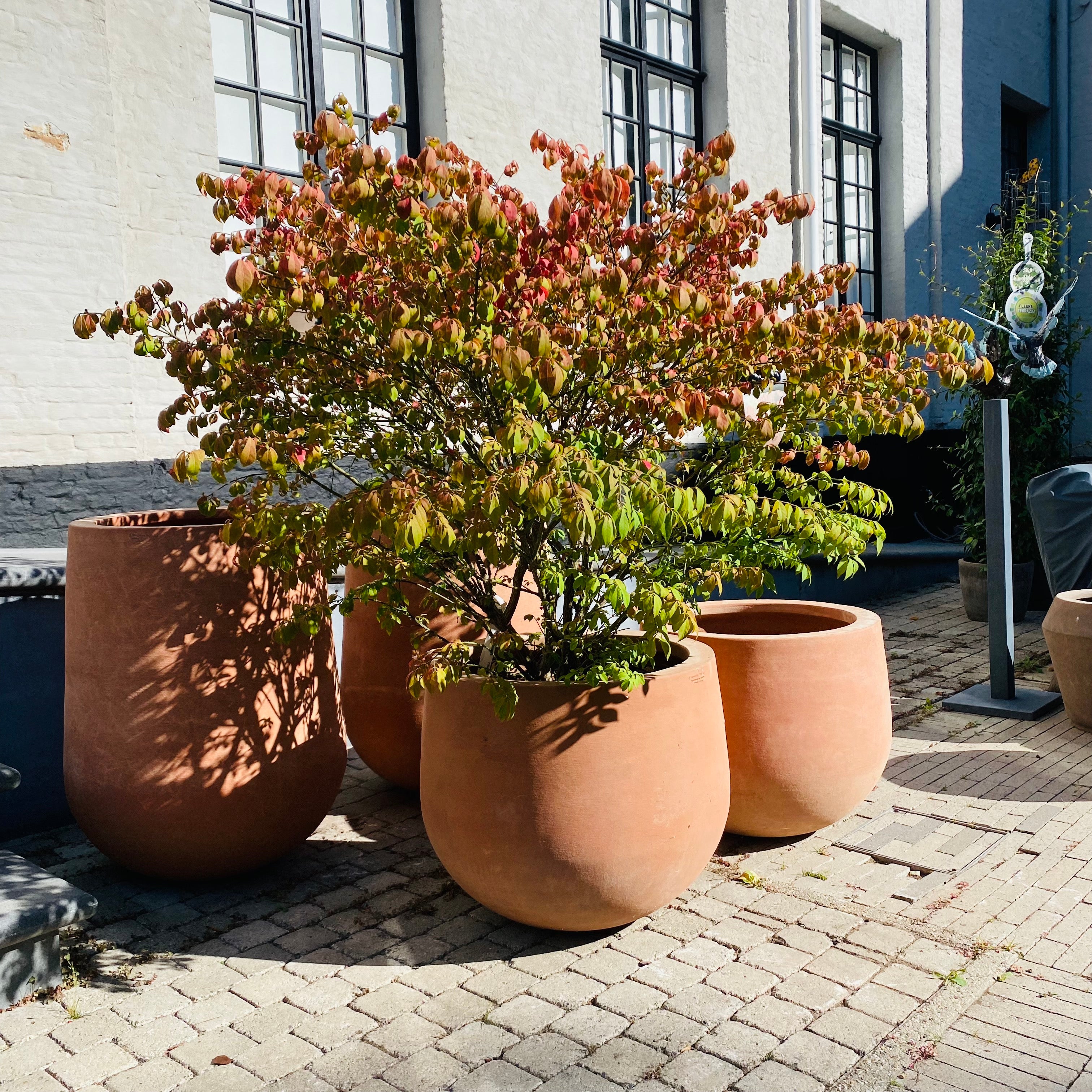 Terracotta d'Arte pot Mortaio