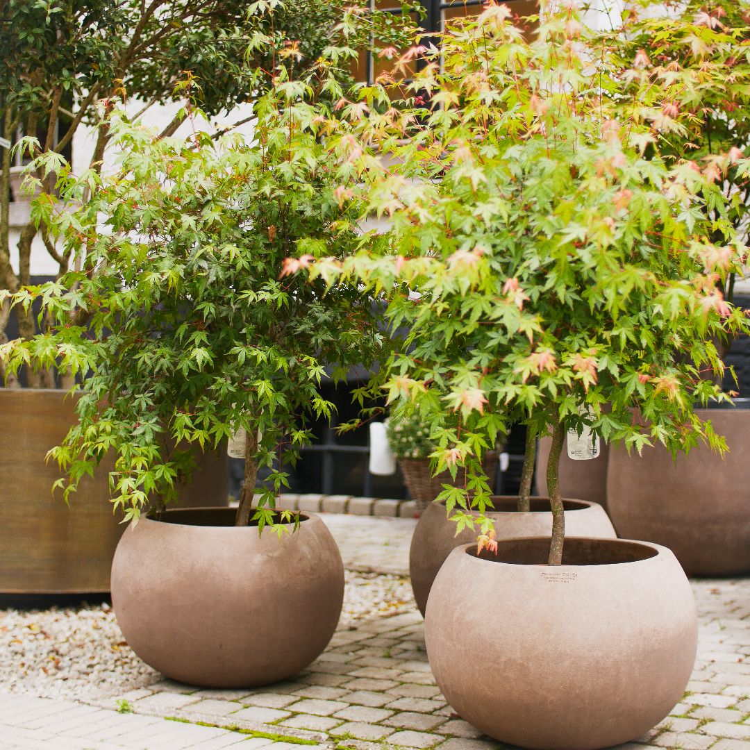 Terracotta d'Arte pot Caspo Liscio