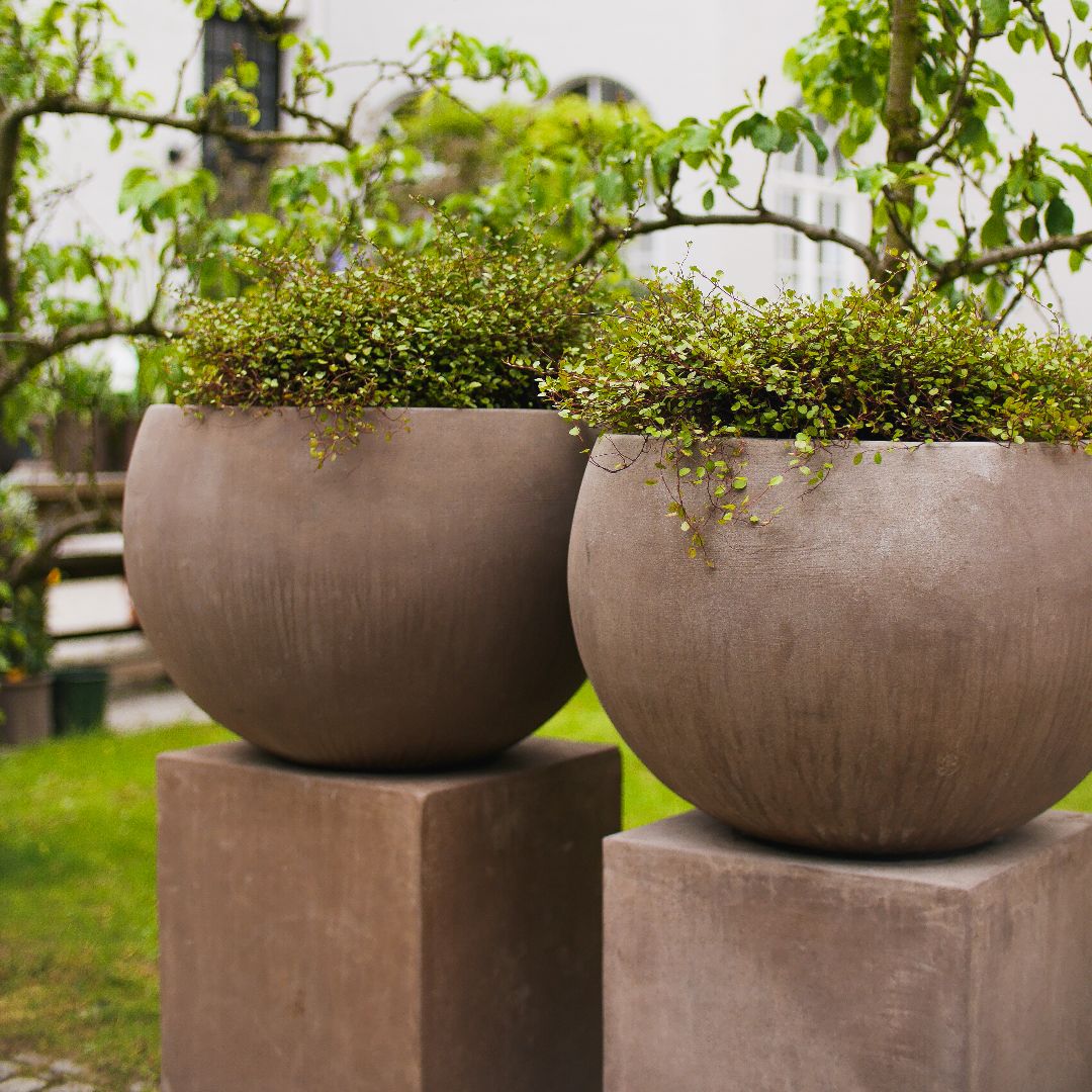 Terracotta d'Arte pot Caspo Liscio