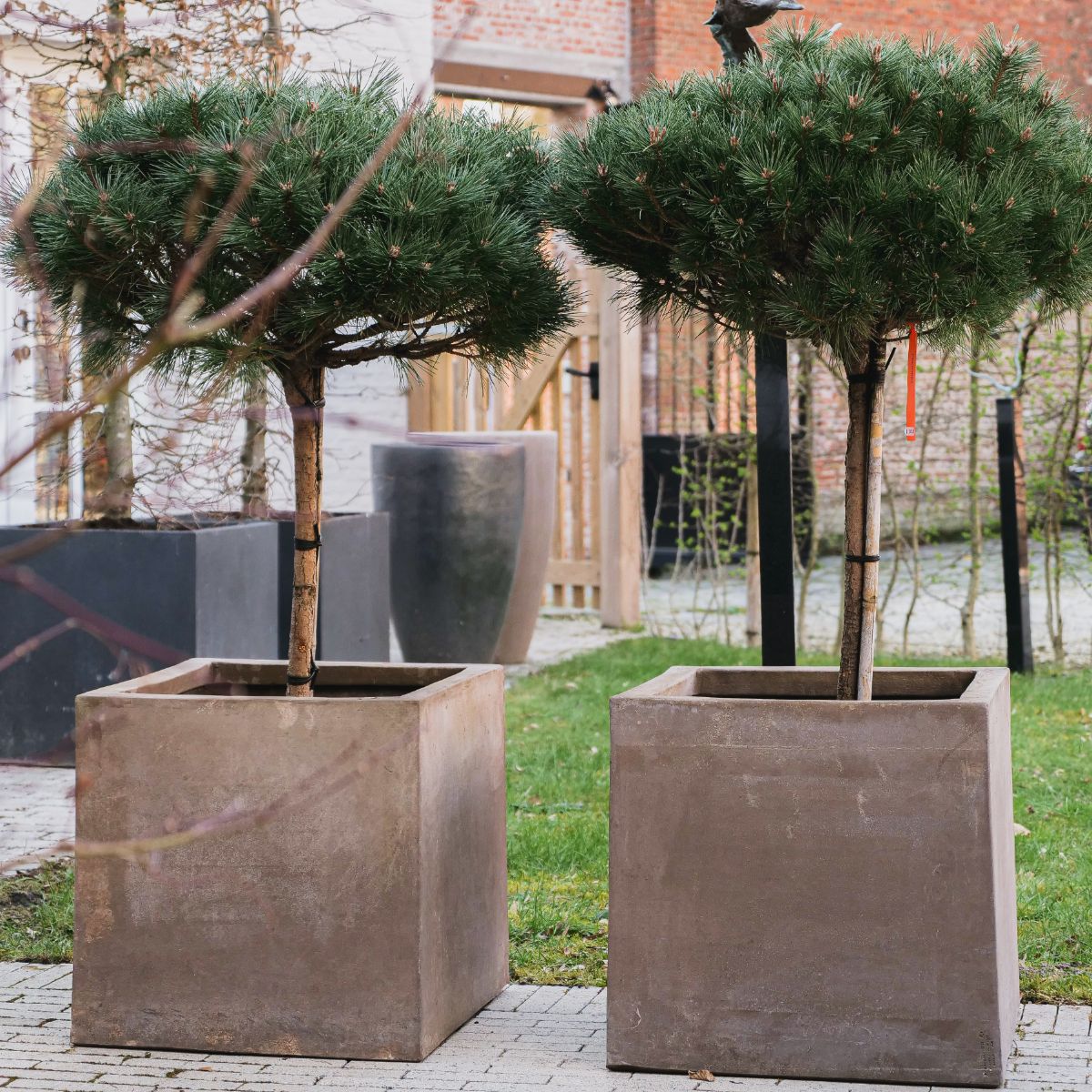 Terracotta d'Arte pot Cassetta Quadra