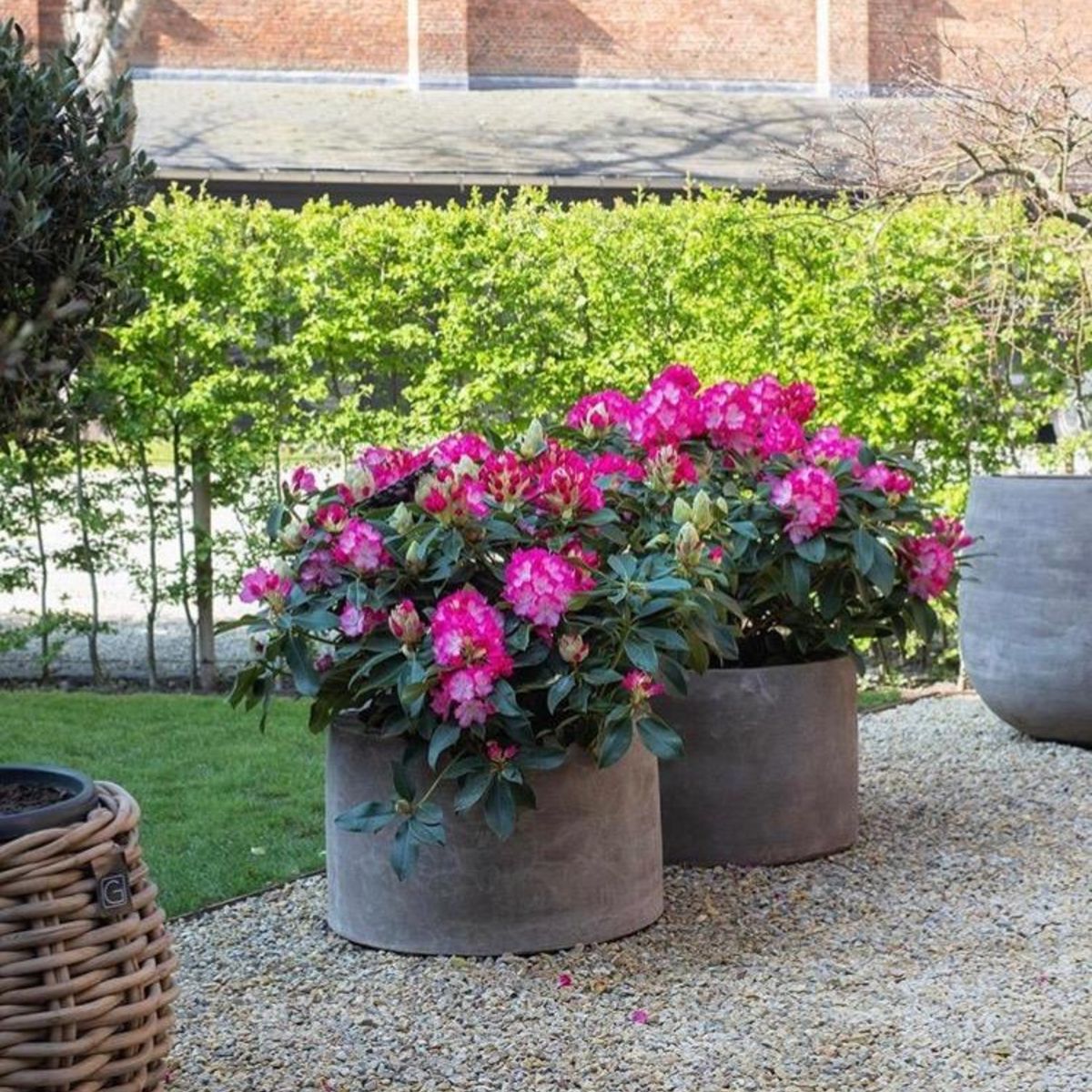 Terracotta d'Arte pot Tubo