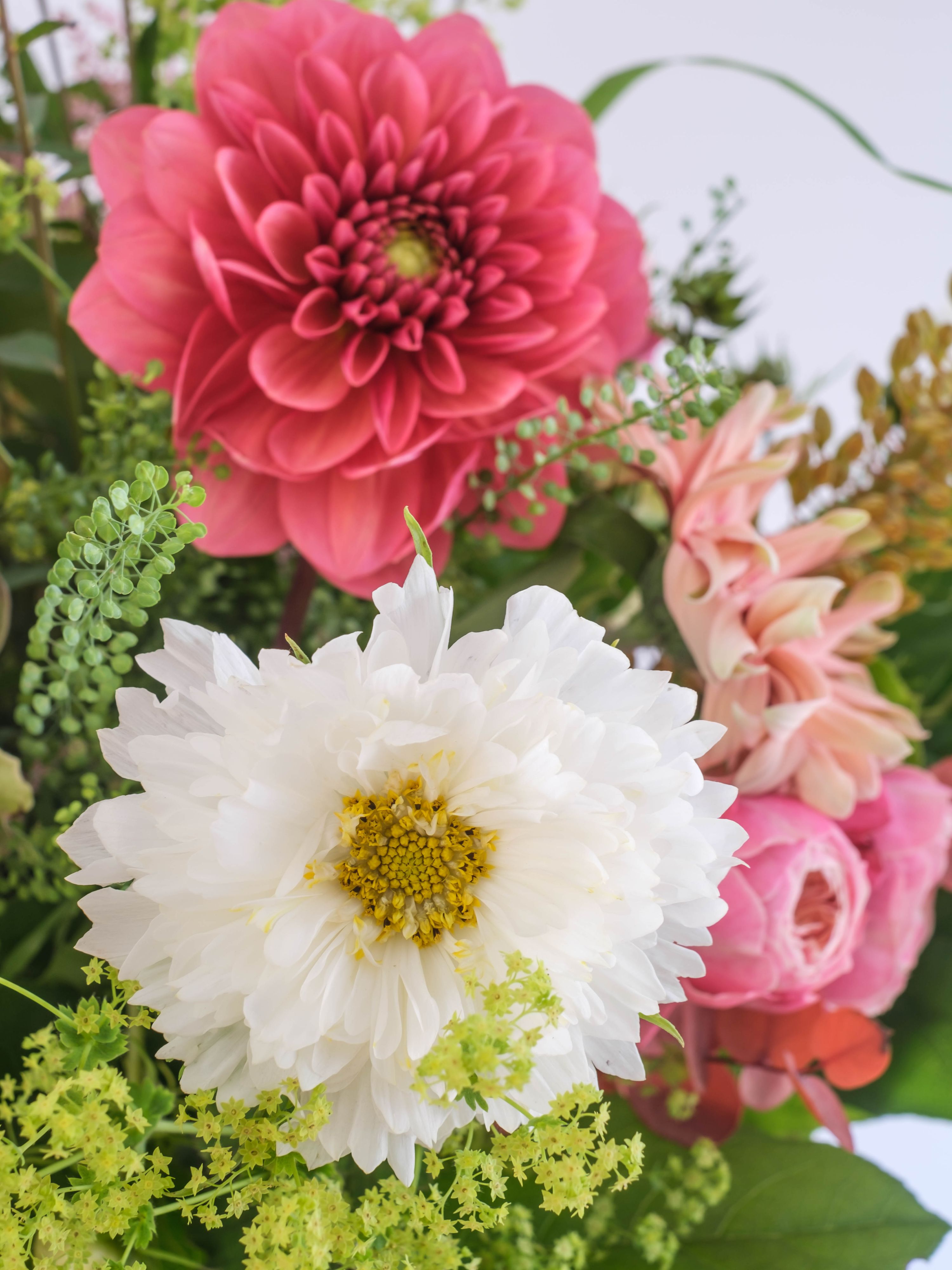 Kleurrijke zomerbloemen