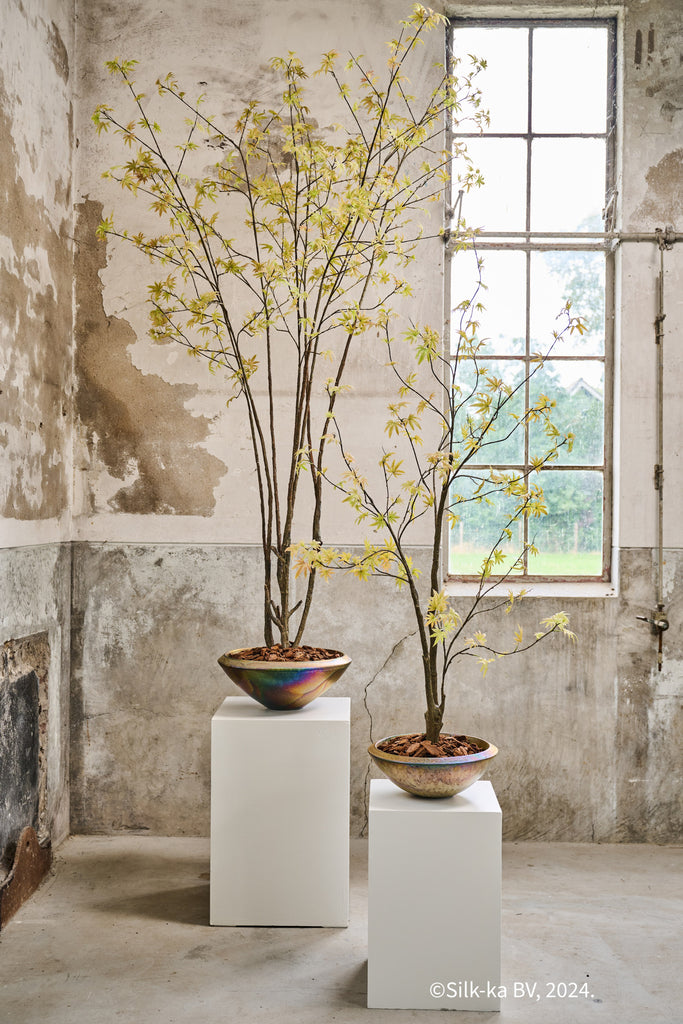 Silk-ka Zijden plant - Acer Lichtgroen