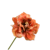 TULP STEEL ORANJE/BRUIN