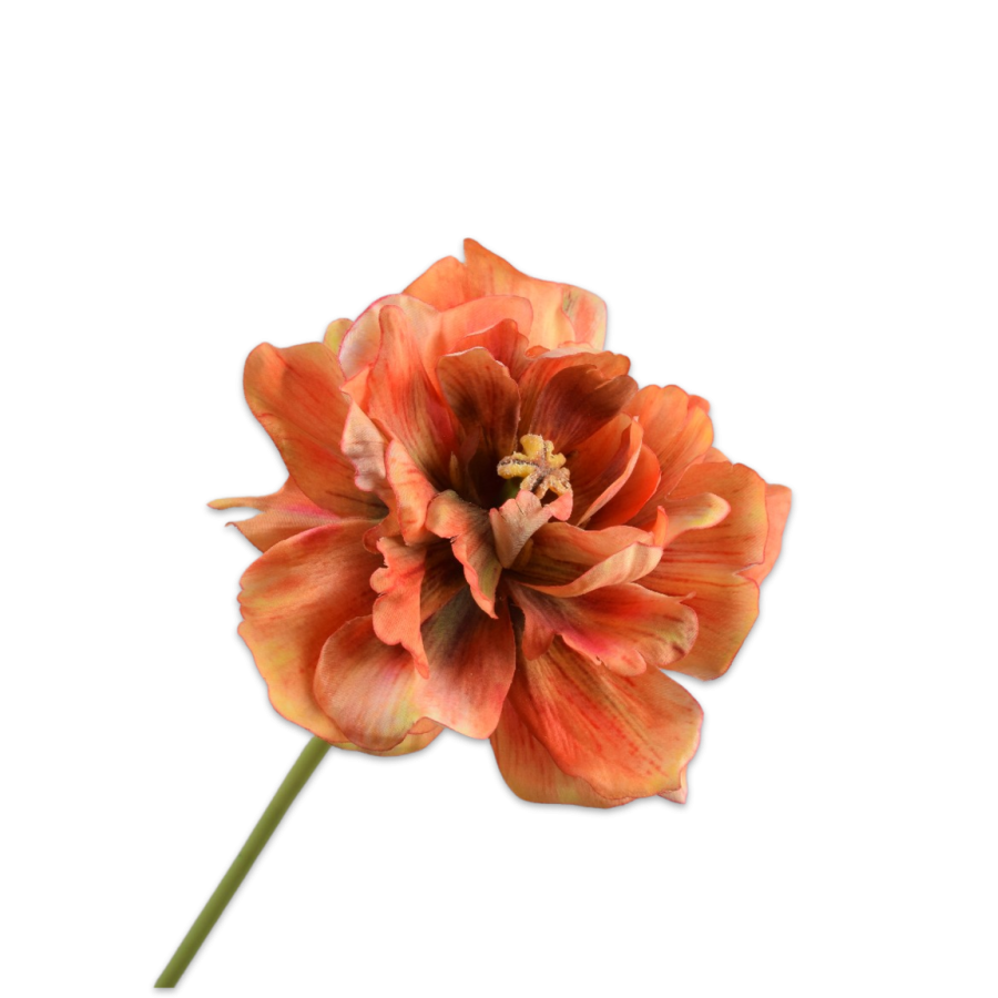 TULP STEEL ORANJE/BRUIN