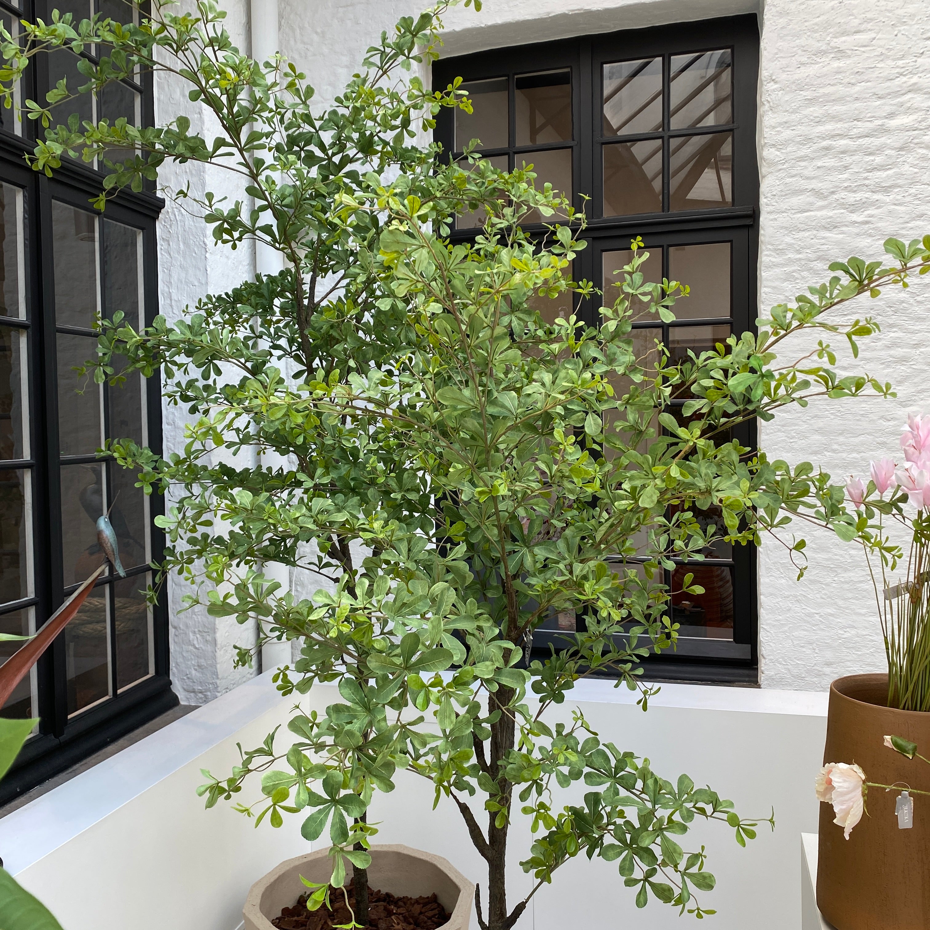 Silk-ka Zijden plant - Budica Groen