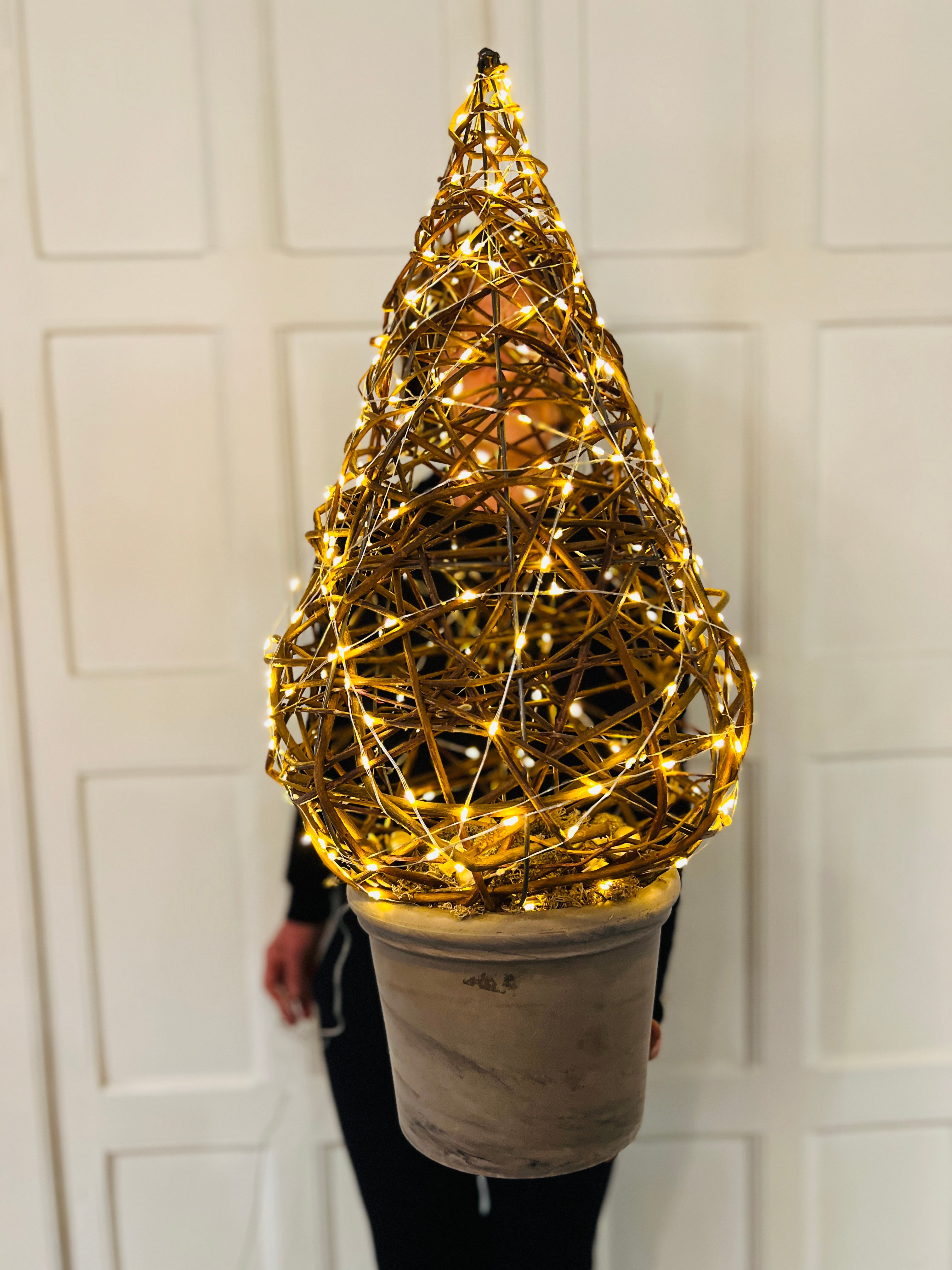 Berkenboompje in pot