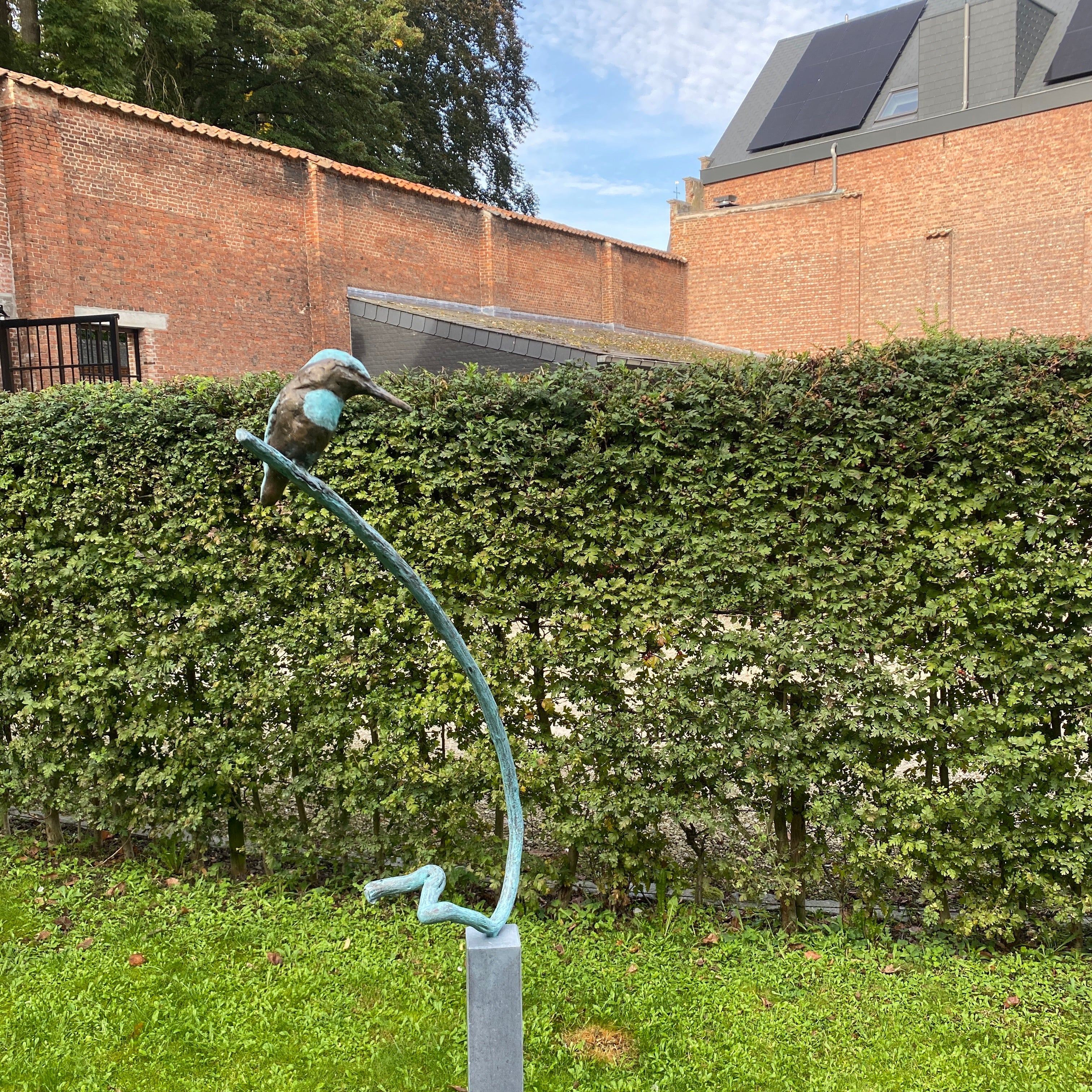 Jonneke Kodde - Ijsvogel op gebogen tak