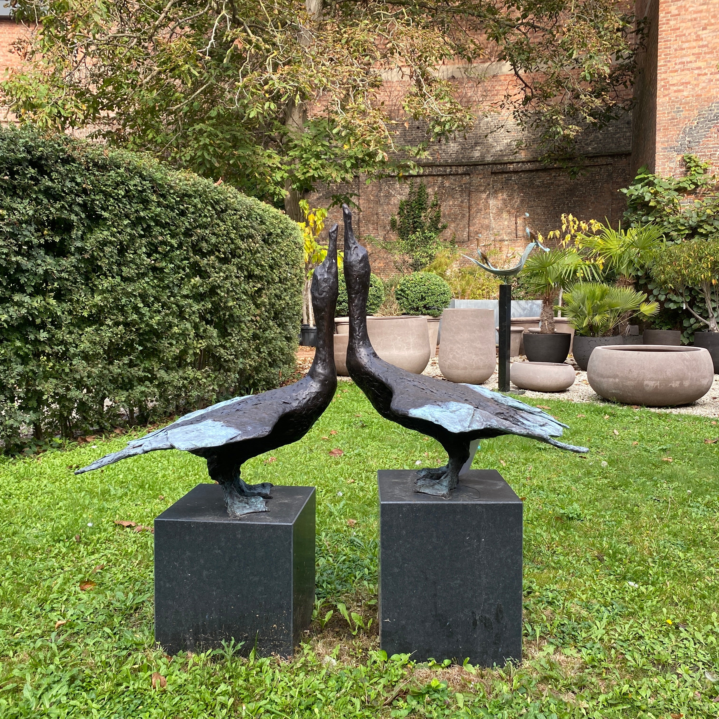 Jonneke Kodde - Contact, twee Aalscholvers