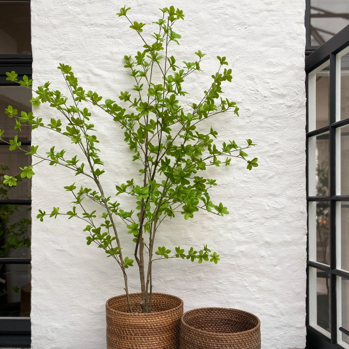 Silka Zijden plant - Boompje Groen