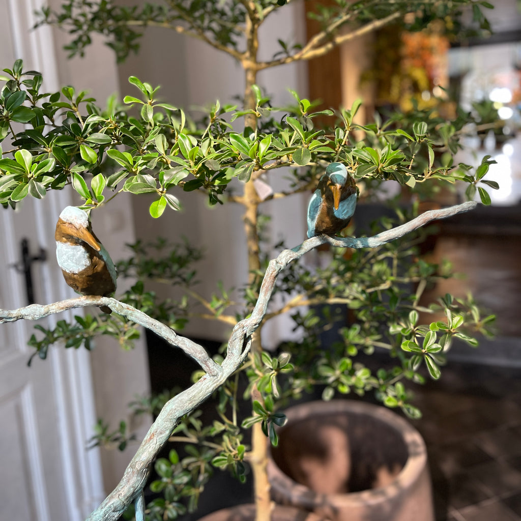 Jonneke Kodde - Samen op uitkijk