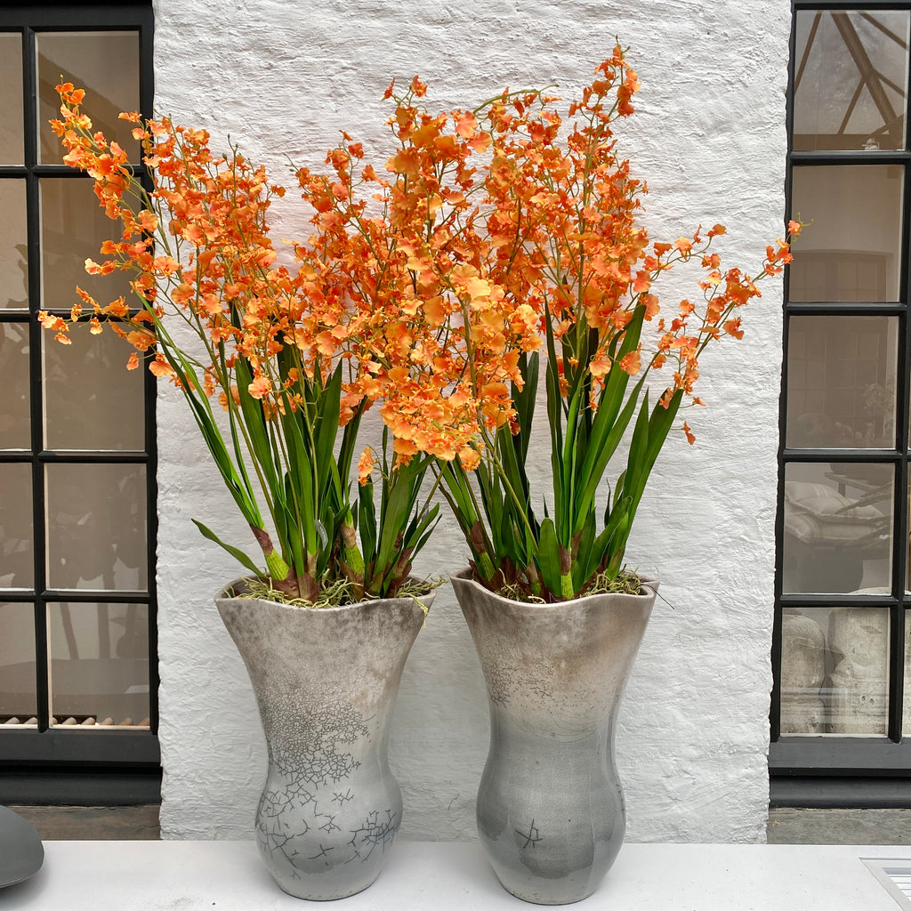 Long lasting orchids - oncidium tak oranje