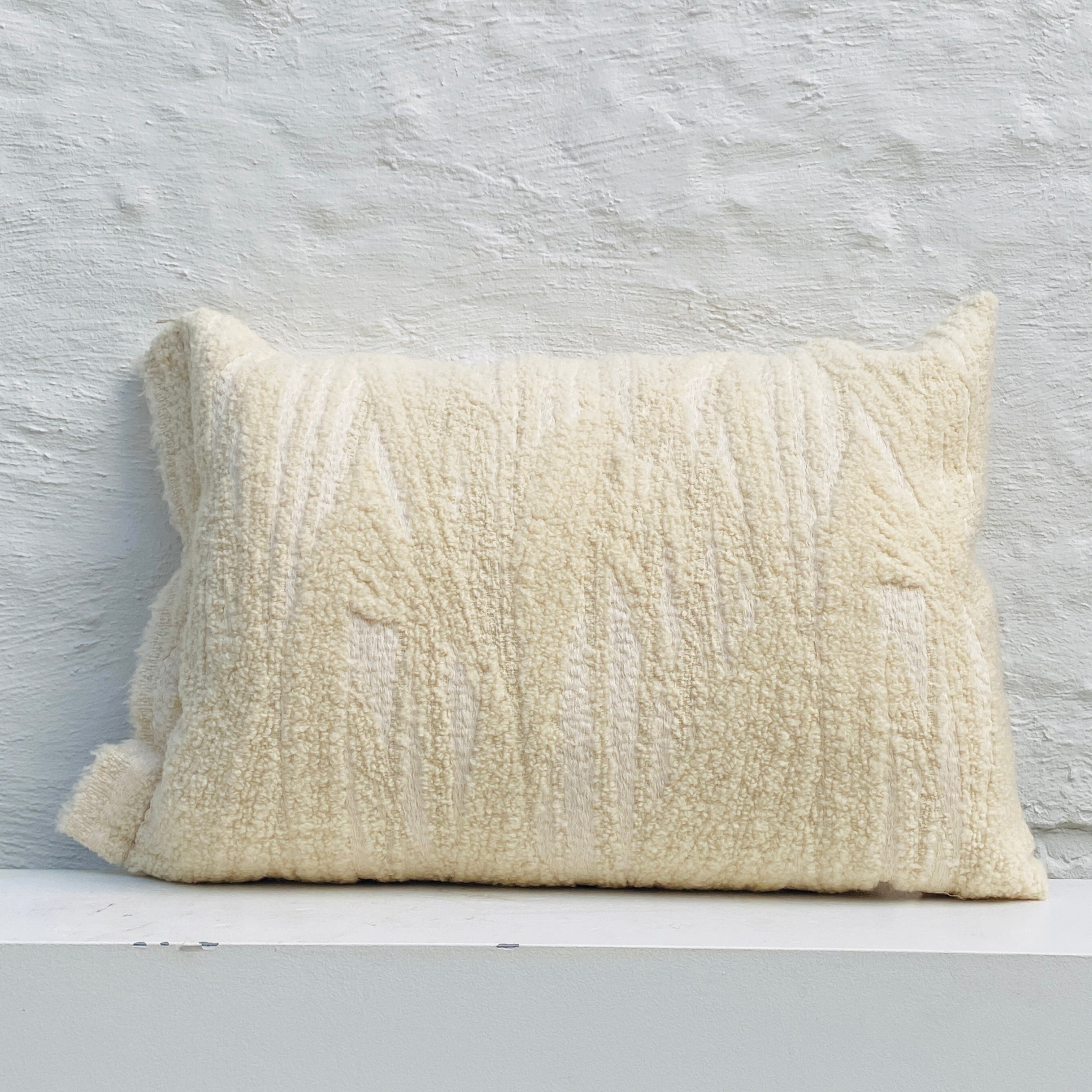 Limited Edition kussen BIPLEX, 60x40