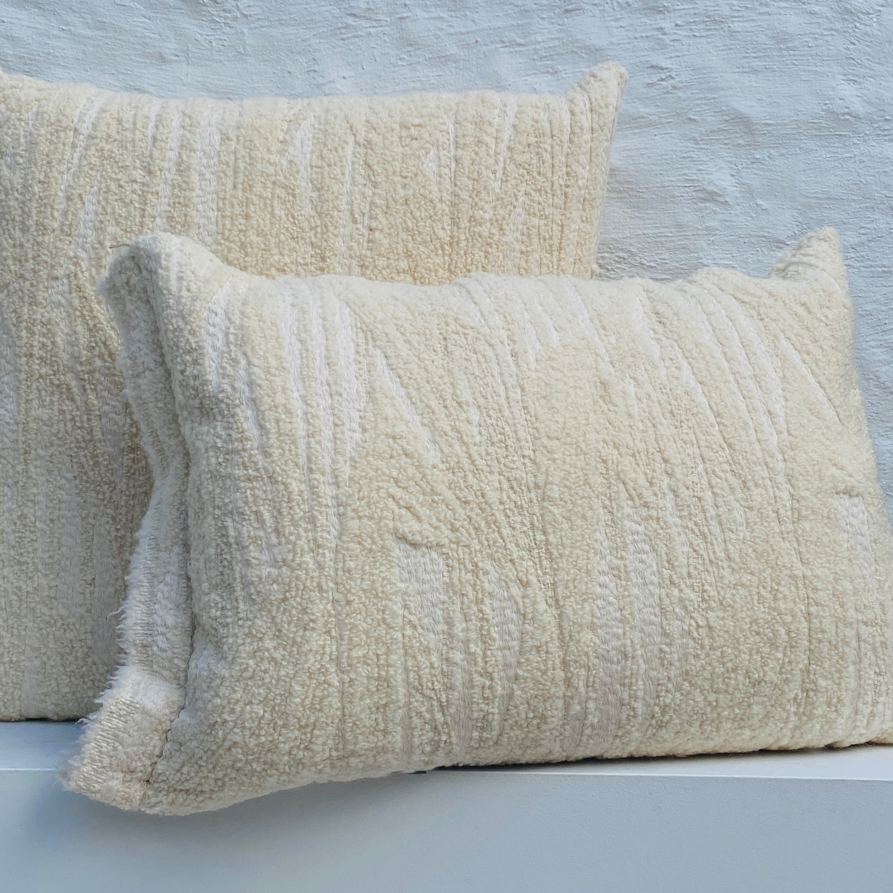 Coussin BIPLEX édition limitée, 60x40
