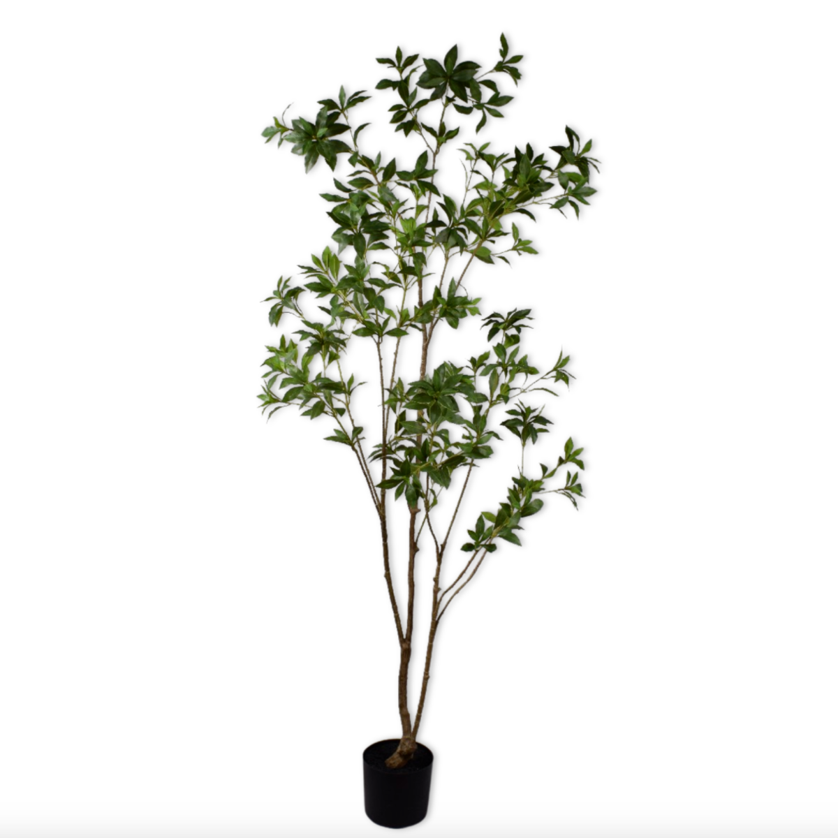 Silk-ka Zijden plant - Fijne Boom Groen
