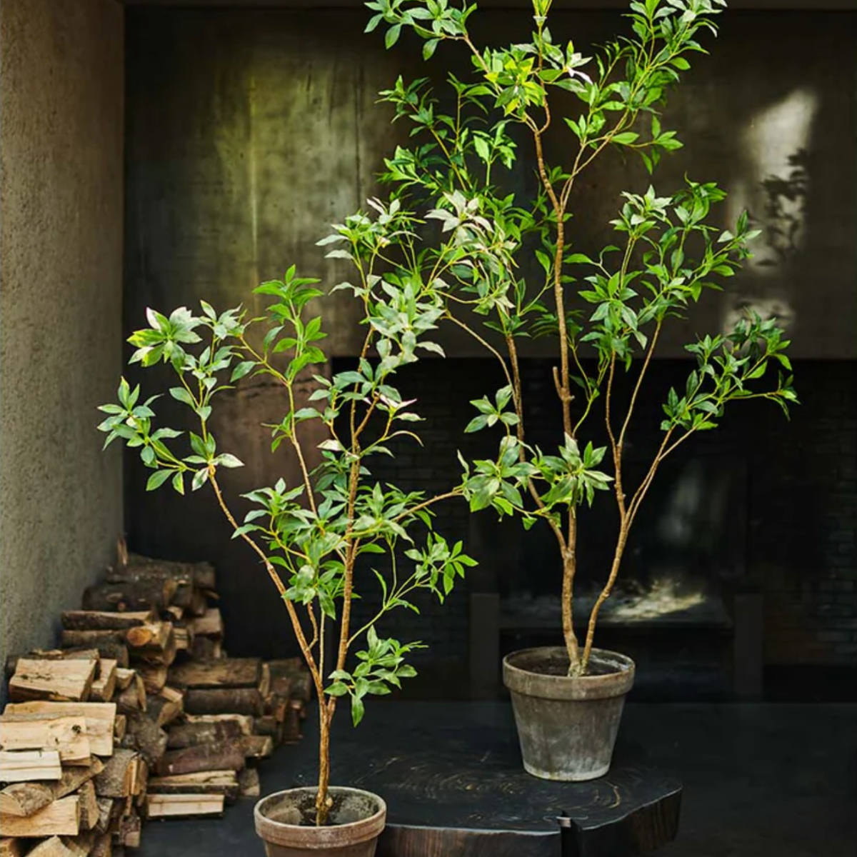 Silk-ka Zijden plant - Fijne Boom Groen