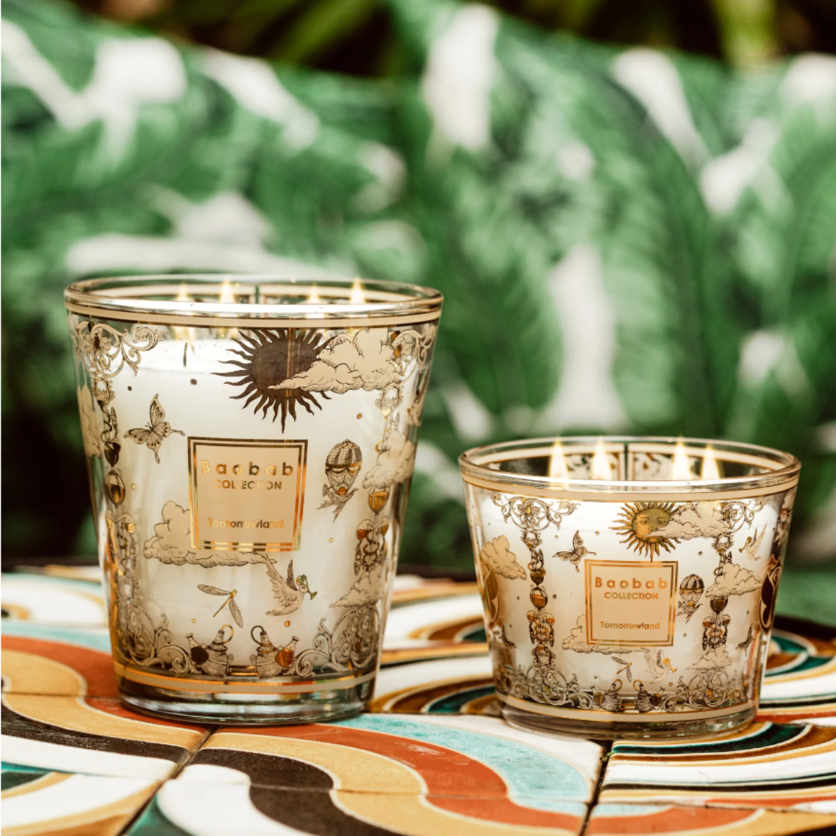 Baobab geurkaars - Tomorrowland '25