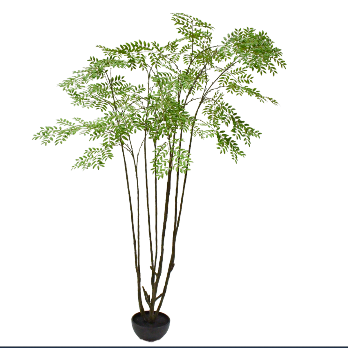 Silk-ka Zijden plant - Groene Boom 240cm