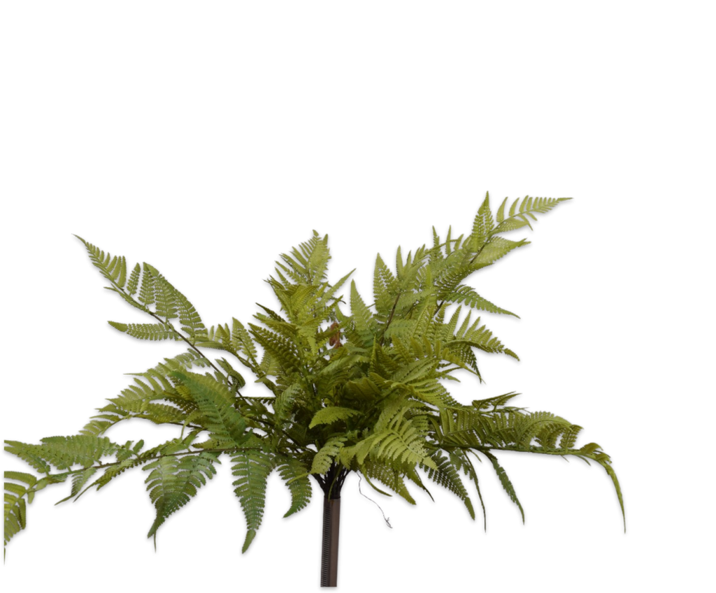 Silk-ka Zijden plant - Varen bush groen 56cm