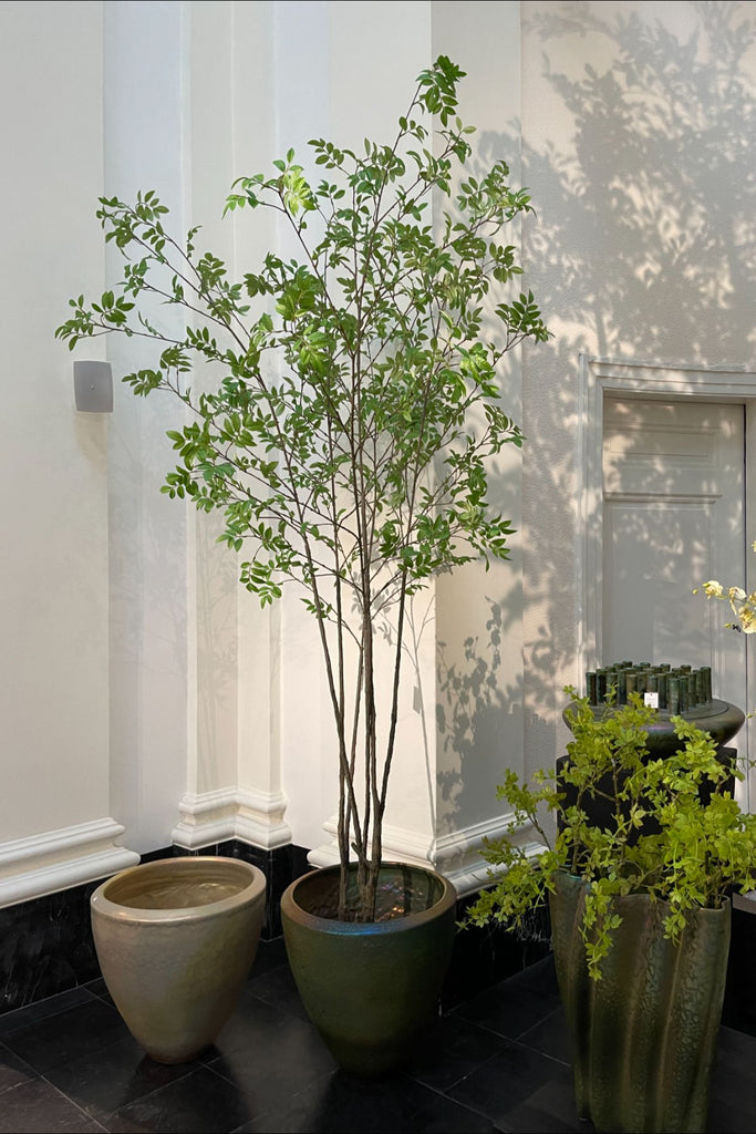 Silk-ka Zijden plant - Groene Boom 250cm