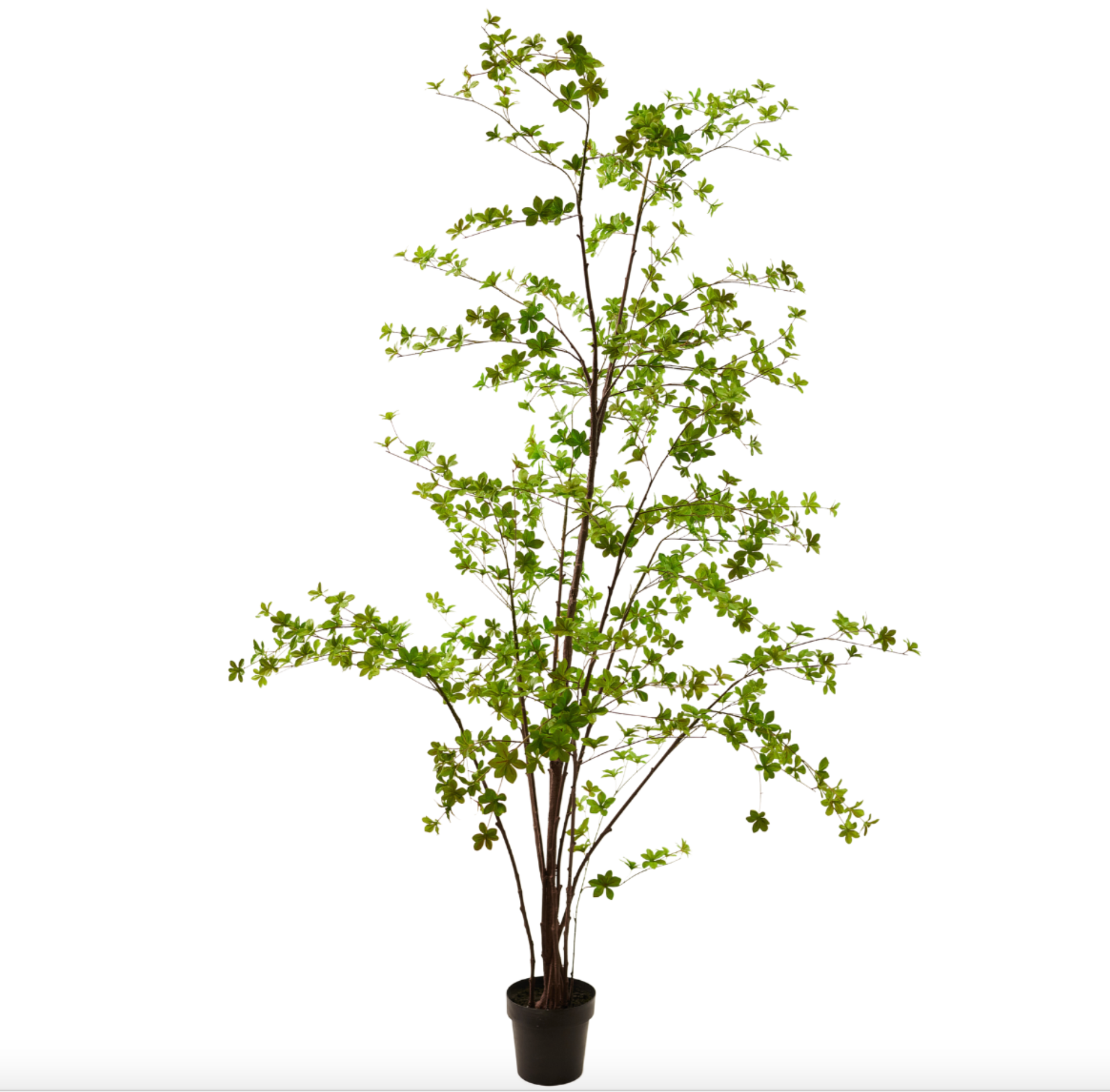 Silka Zijden plant - Boompje Groen