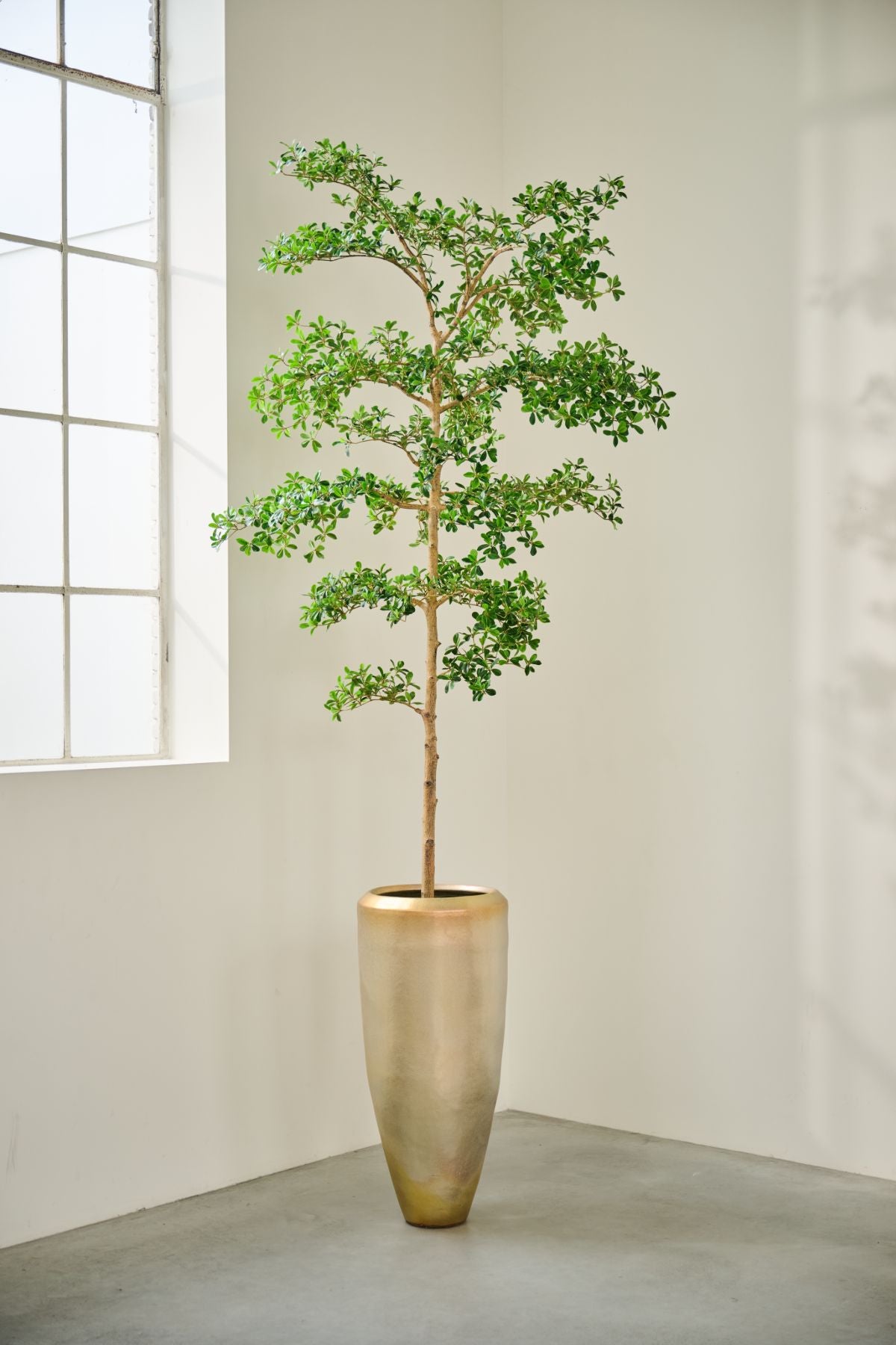 Silk-ka Zijden plant - Vertakte Boom Groen