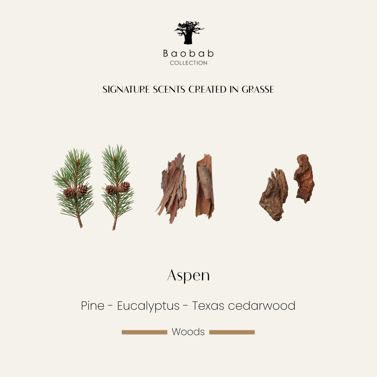 Baobab geurkaars - Aspen