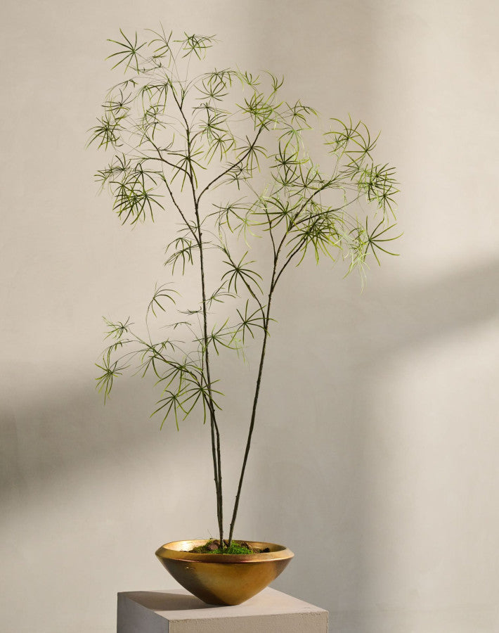 Silk-ka Zijden plant - Schefflera 223cm