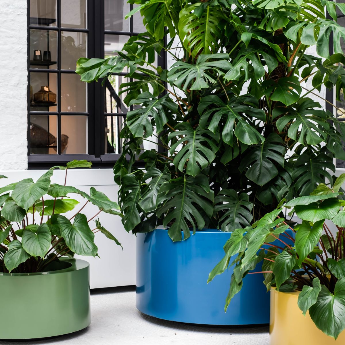 Polyester Round Ral Planters