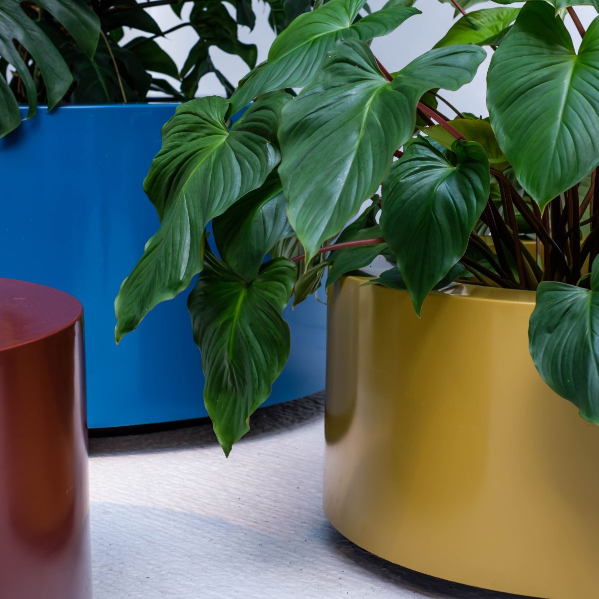 Polyester Round Ral Planters