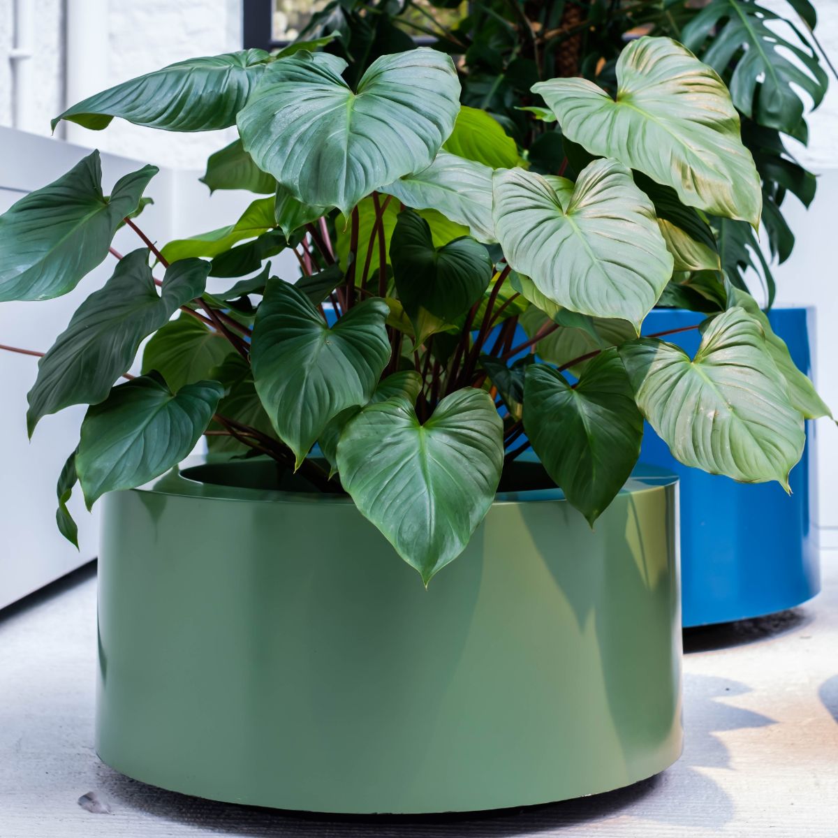 Polyester Round Ral Planters