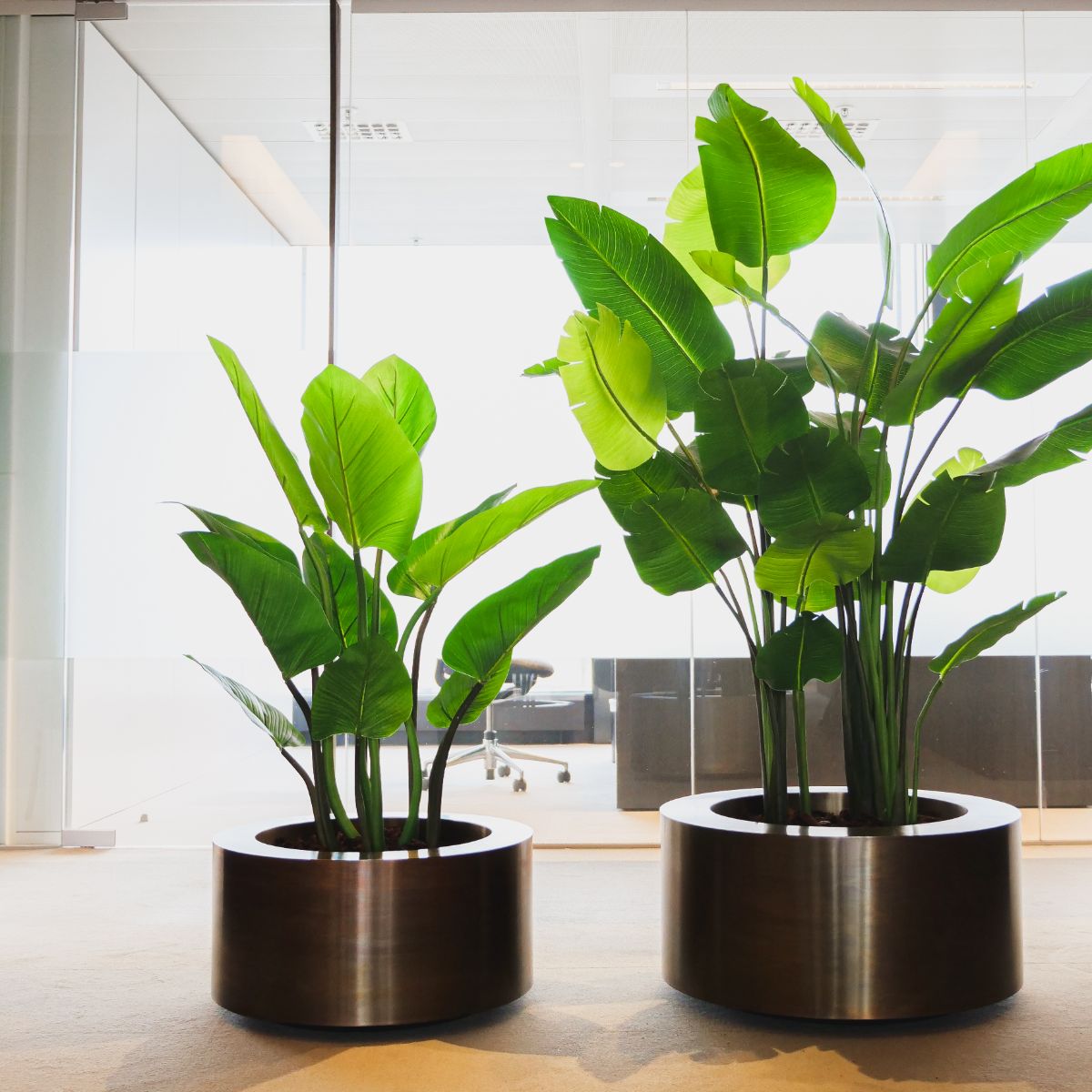 Brass Round Weathered Planters