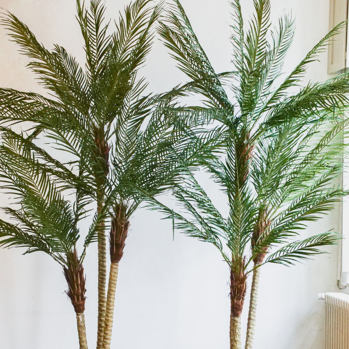 Silk-ka Zijden plant -  Palm 183cm