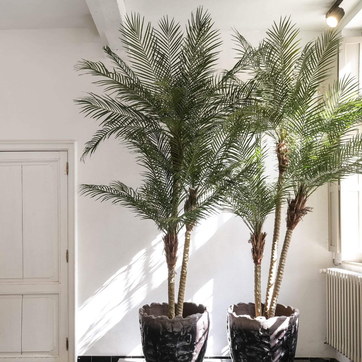 Silk-ka Zijden plant -  Palm 183cm